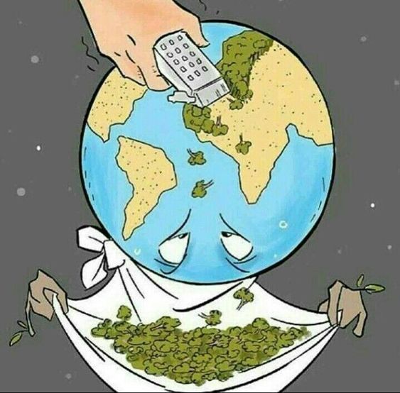 Vivimos en este planeta como si tuviéramos otro donde vivir