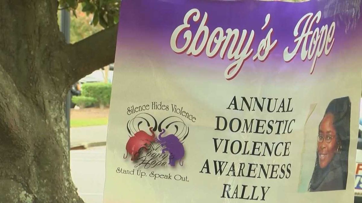 wis10's tweet photo. ‘We can’t … have more animal shelters than safe havens:’ Study ranks SC 6th in rate of women killed by men https://t.co/K5bmqBtooR https://t.co/LvRaqbgzOM