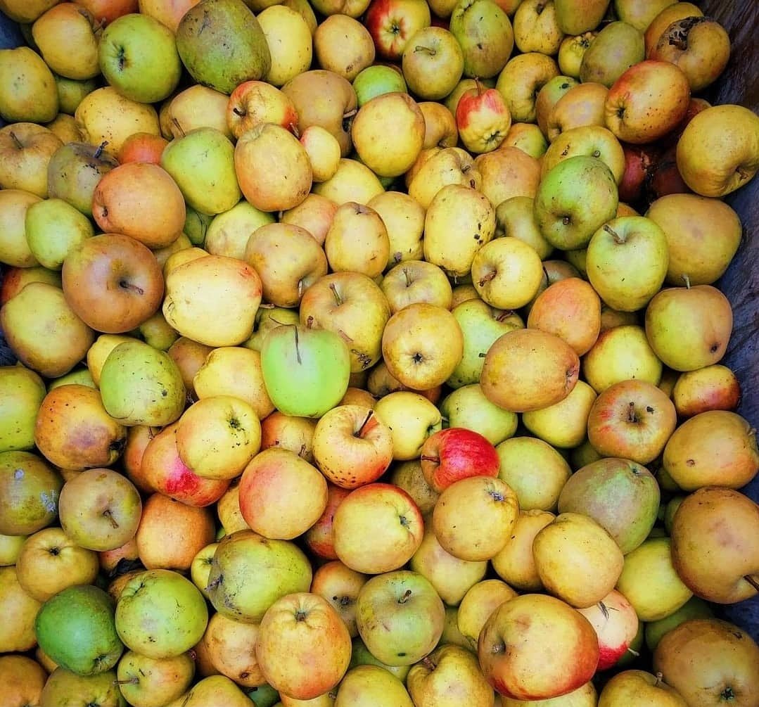 BC Cider Festival (@bcciderfest) on Twitter photo Planning has started for the 3rd annual BC Craft Cider Festival! Mark May 5th on your calendar, at <a href="/pipeshop_venue/">The Pipe Shop</a> in #northvancouver
More #craft #cider, more #tickets, more #awards, more #food, and live #music! 💥 Early bird tickets on sale soon! 🍏❤️ #bcciderfest #craftcider Planning has started for the 3rd annual BC Craft Cider Festival! Mark May 5th on your calendar, at <a href="/pipeshop_venue/">The Pipe Shop</a> in #northvancouver
More #craft #cider, more #tickets, more #awards, more #food, and live #music! 💥 Early bird tickets on sale soon! 🍏❤️ #bcciderfest #craftcider