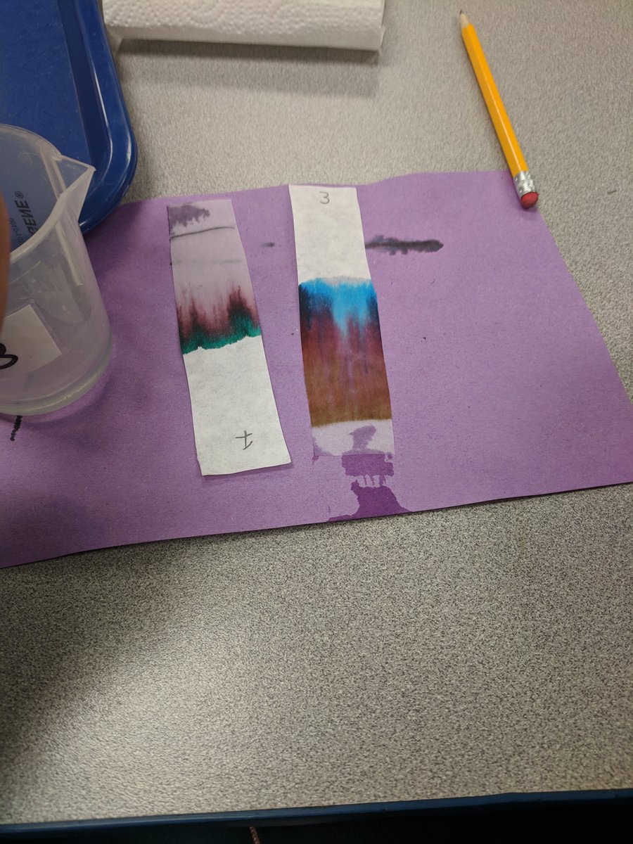 Our last day of Starbase was full of fun activities! Chromatography, Warm ups and Cool downs, Bernoulli's Principles, and Rocket Launching! These Studio 5 scholars were sad to see this fun 5-week experience end! #Jardine501 #WeAreTPS #Studio5