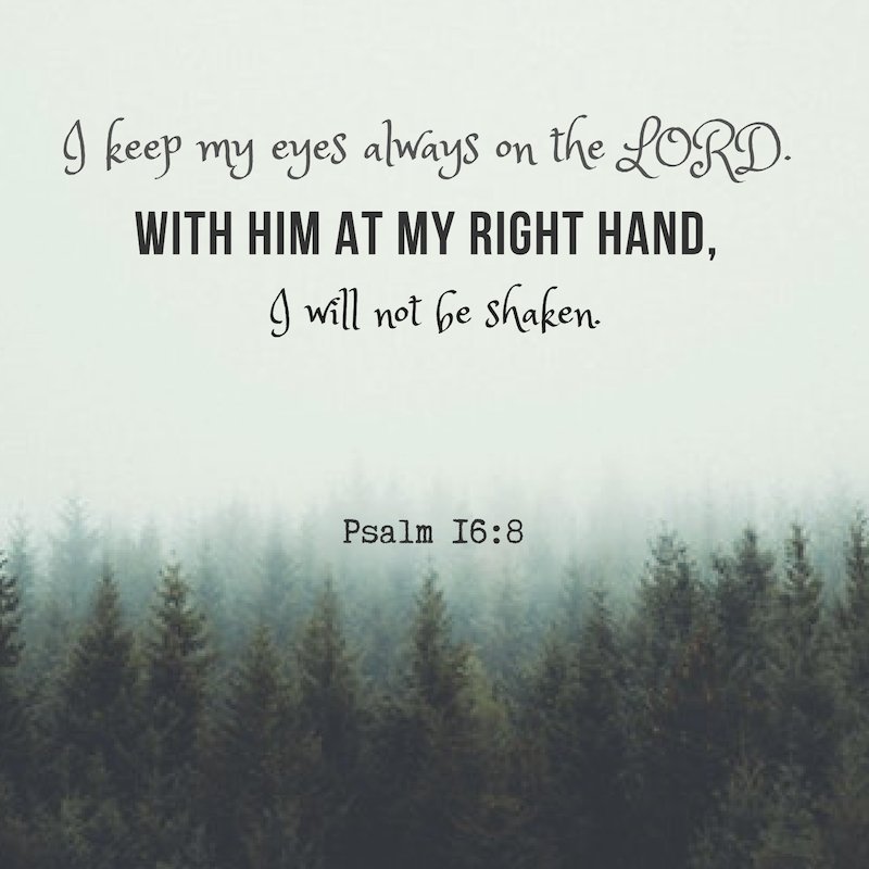JesusSocialNet0's tweet photo. I keep my eyes always on the Lord. With him at my right hand, I will not be shaken.
- Psalm 16:8

Be part of our growing Christian community. Visit https://t.co/49BmGzCqhL and sign up now! 😇😇😇 https://t.co/FLSuGvhKCA