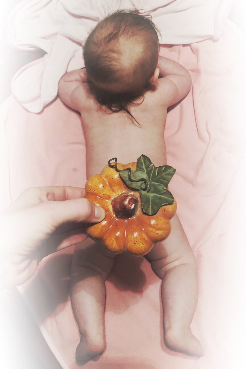 It’s been forever y’all! Hi from miss pumpkin butt 😋 #babiesoftwitter #babygirl #fallbaby #pumpkinbutt #letthembelittle #5months