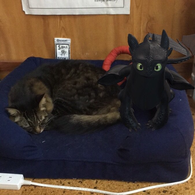 taquico84's tweet image. #facebookcamera #howtotrainyourdragon