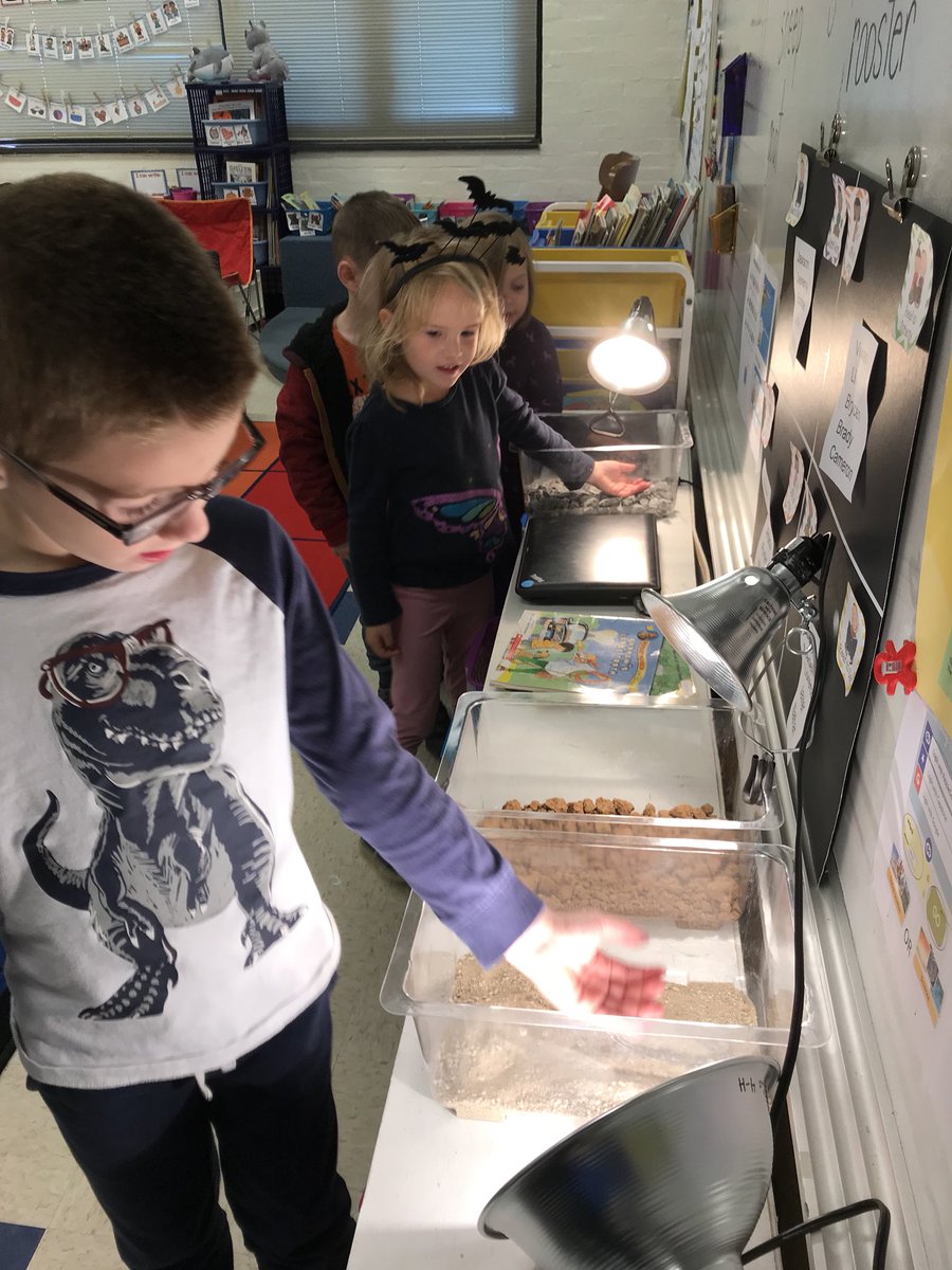 Melanie Seibert tweet media