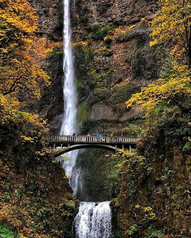 PersonaStudio's tweet photo. I’ve wanted to travel to this place for the longest time. Scratch this on off the bucket list! All thanks to @southwestair for providing this opportunity for my family and I. #luvsouthwest #southwestairlines #bucketlist #swalife #iphoneography https://t.co/nmdytF8nAJ https://t.co/0bkZkrLNLl