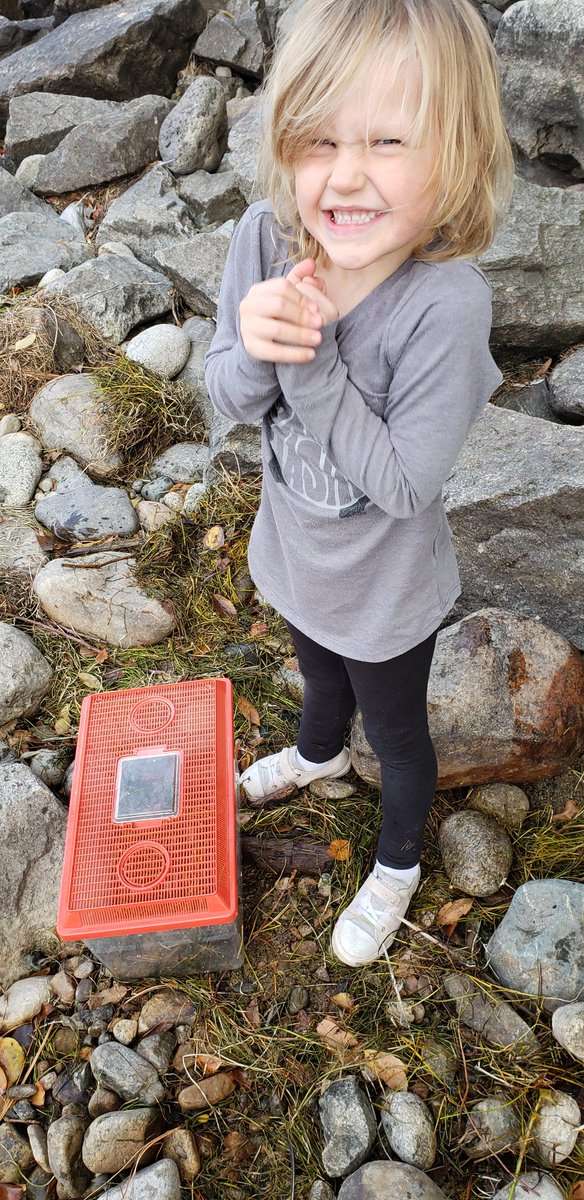 Scott Harkness tweet media