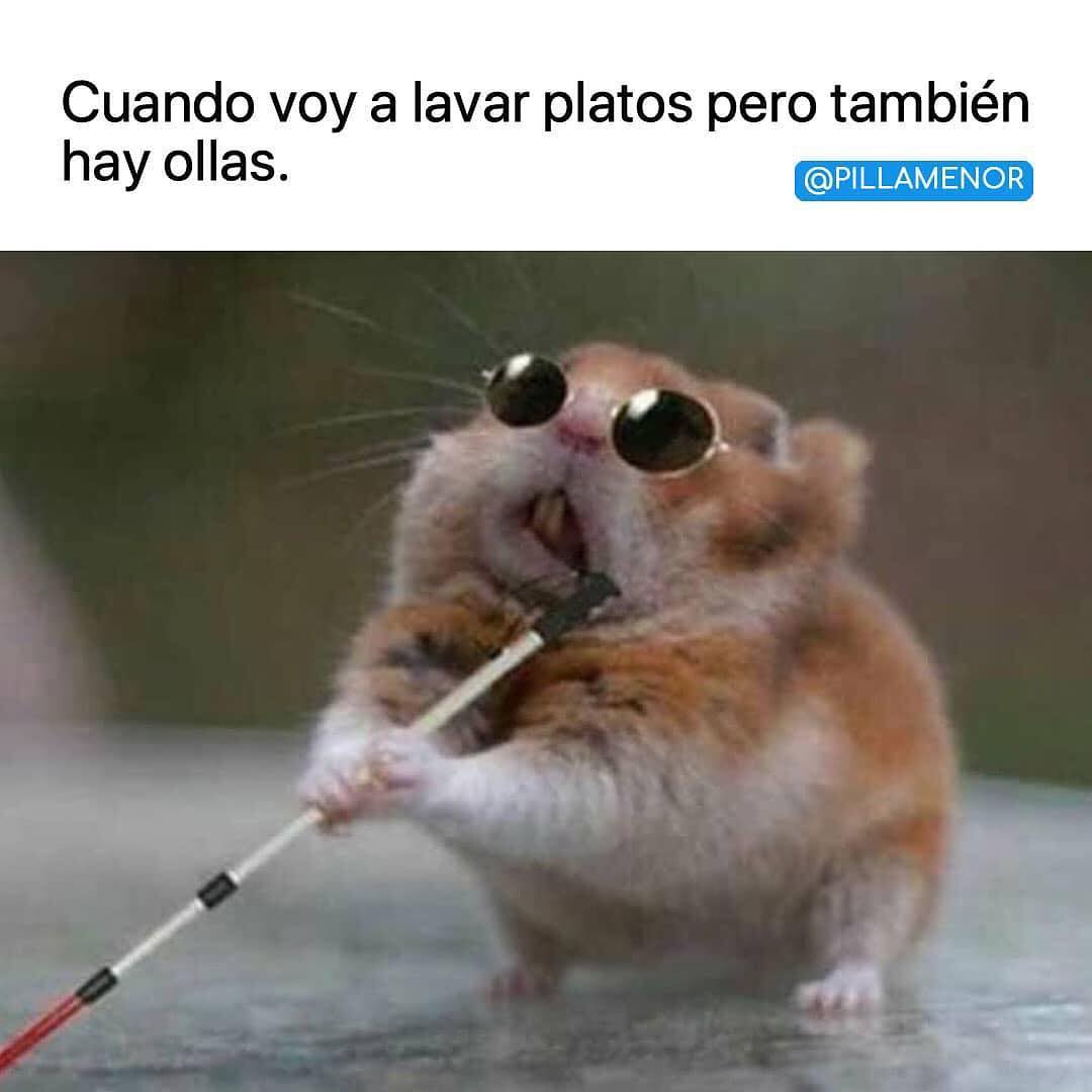 LautiGabri's tweet photo. JAJAJAJAJA https://t.co/bP8TGpmN3o