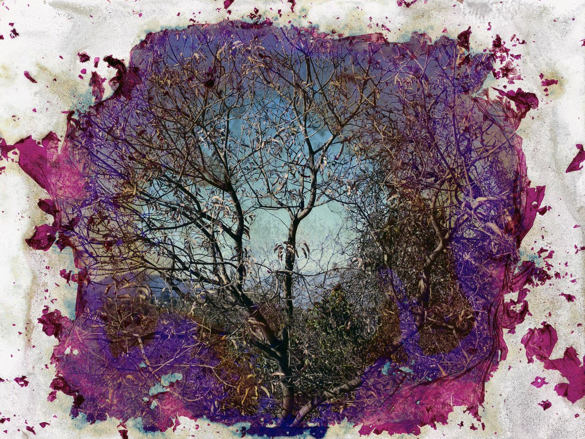 SFOMuseum's tweet photo. In #DougFogelson's photographs, tranquil images of tropical forests, placid lakes, and desolate mountain ranges become corroded, reshaped, and imbued with shockingly artificial hues. https://t.co/aSzUEeNXaC
