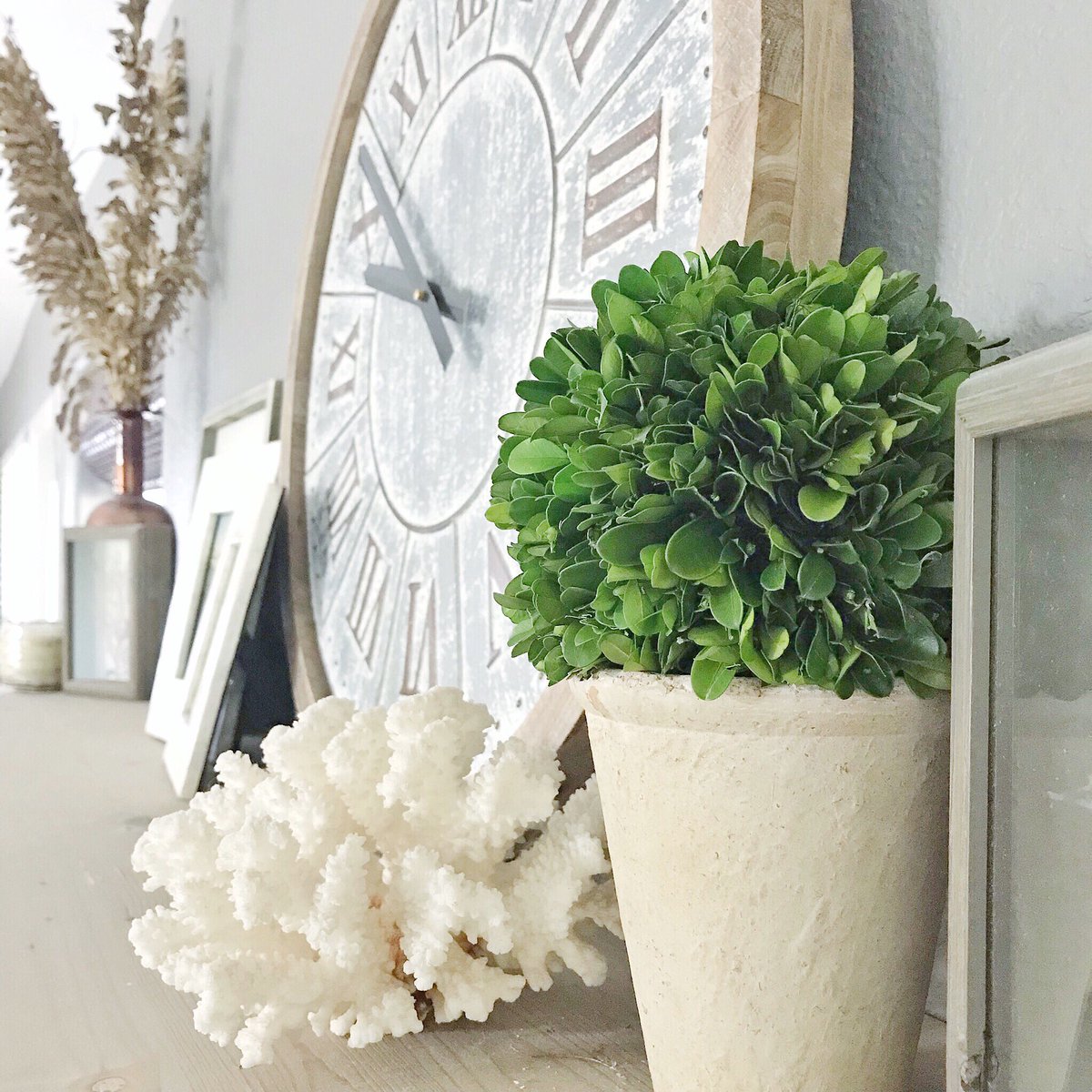 As usual, our mantle was getting a bit too driftwood-finish heavy so when I finally got to visit local gem <a href="/tmwildflowers/">theresa moore</a> last night, I grabbed this little guy to bring in some green. I could’ve bought the whole place...if you’re local you DEFINITELY want to stop by there! 😍🌿😍