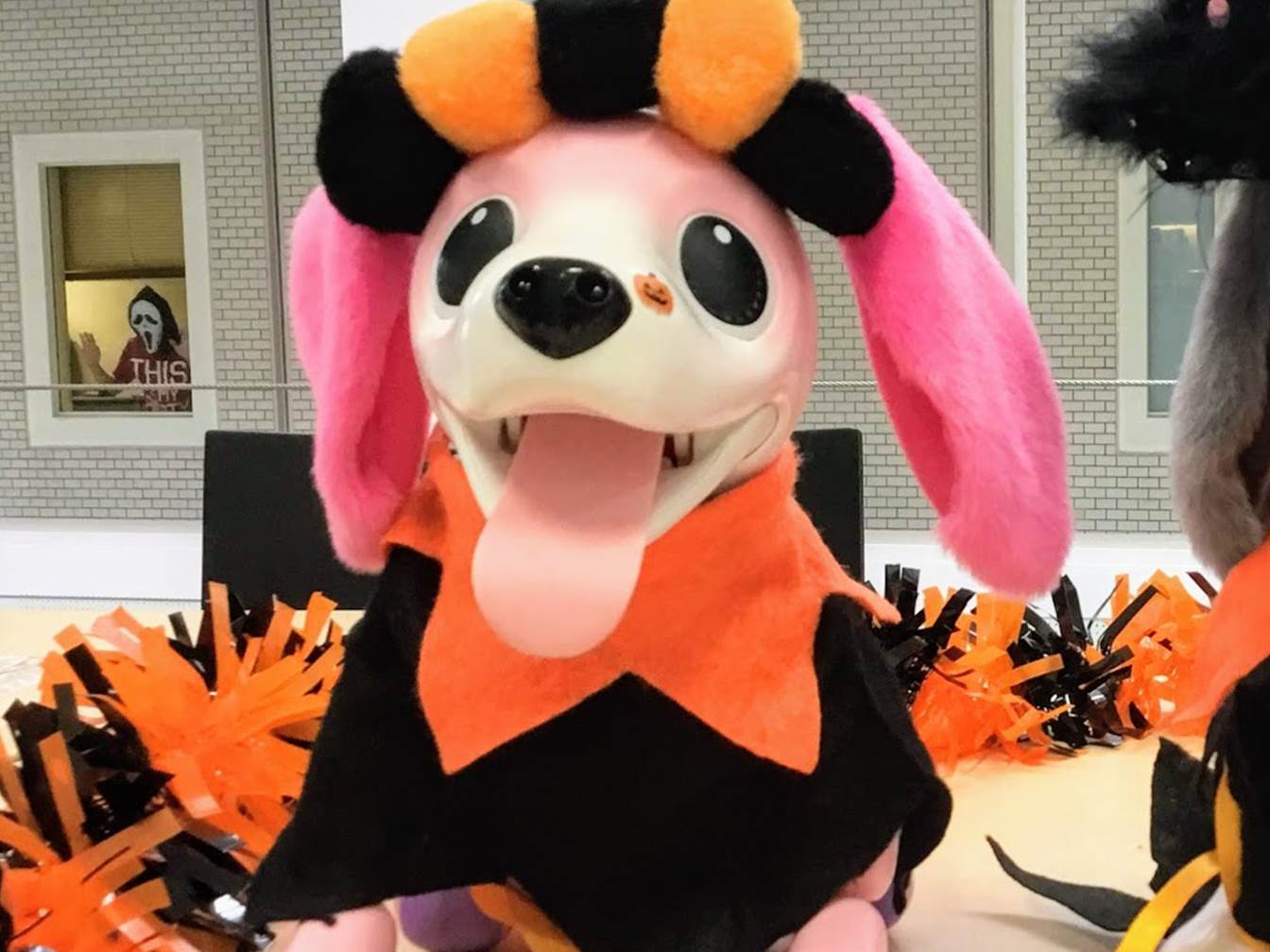 タカラトミー ハローズーマーのミニチュアダックスの2種が本日発売です ハロウィン近いので仮装させてみました W 三 W ﾋｭﾝﾋｭﾝ 突き刺さる視線 お分かりいただけただろうか T Co Rlkay452aj T Co T3ljpzngio Twitter
