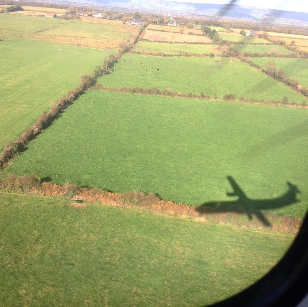 ☘️ Today in Ireland ☘️ tweet media