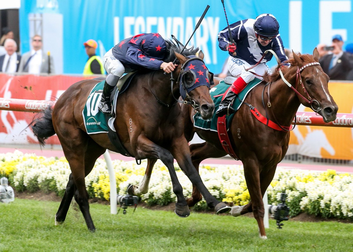 Stars Of Carrum ridden by Ben Melham wins the Drummond Golf Vase at Moonee Valley Racecourse