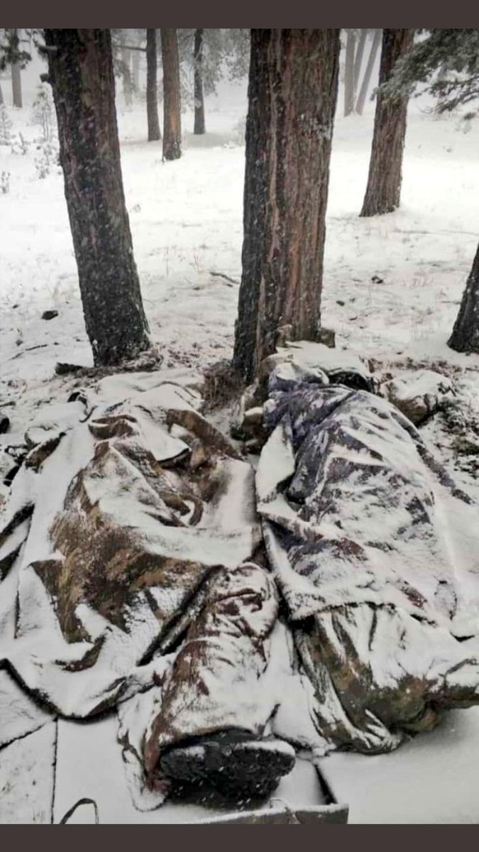 Bayrakla dertleşen toprakla birleşen can verip devleşen BİRİLERİ VAR! 

#Tunceli Nazimiye ilçesi Sarıyayla köyü kırsalında, operasyondayken soğuk  hava ve tipi nedeniyle donarak şehit olan askerlerimize Allah'tan rahmet diliyoruz... #Donuyoruz