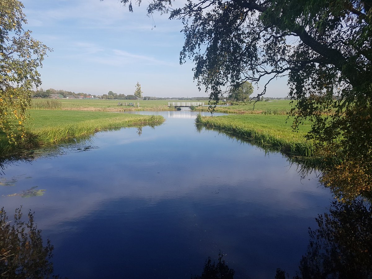 view Kompetent in die