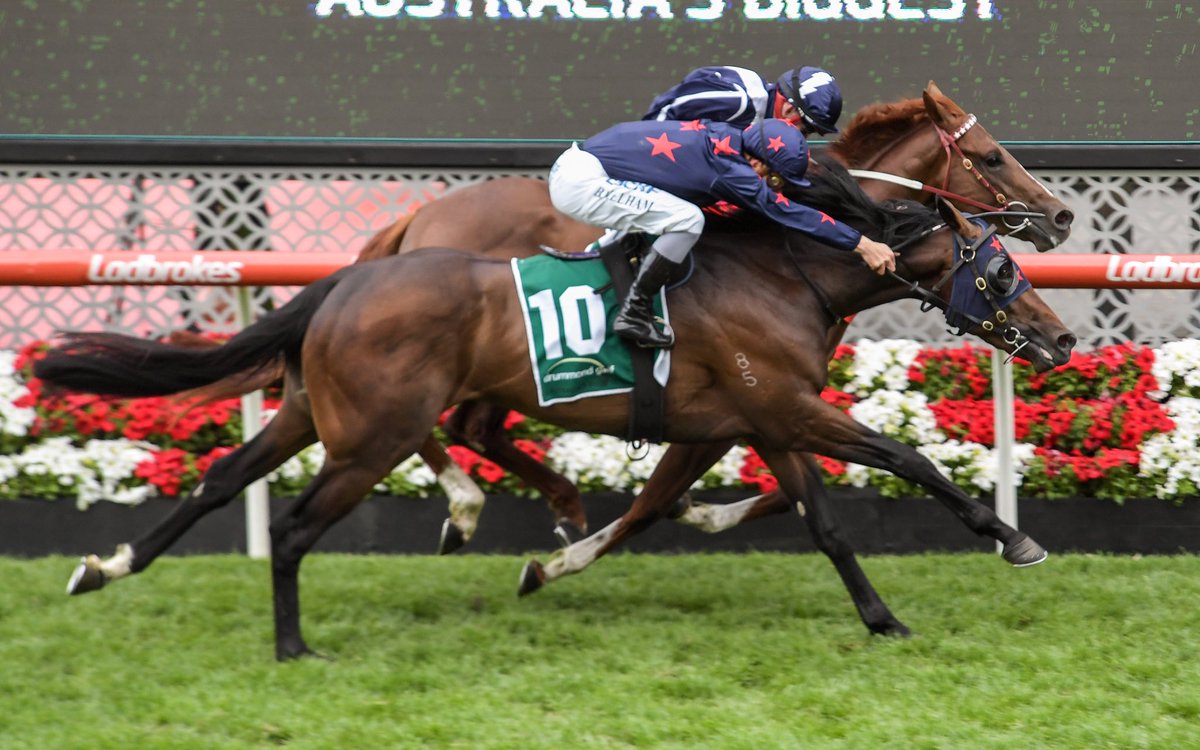 Stars Of Carrum wins the G2 Drummond Golf Vase for <a href="/laing_racing/">Robbie Laing Racing</a> in a thrilling finish and rounds out a stellar day of racing here at <a href="/TheValley/">Moonee Valley Racing Club</a> #CoxPlate #SpringCarnival