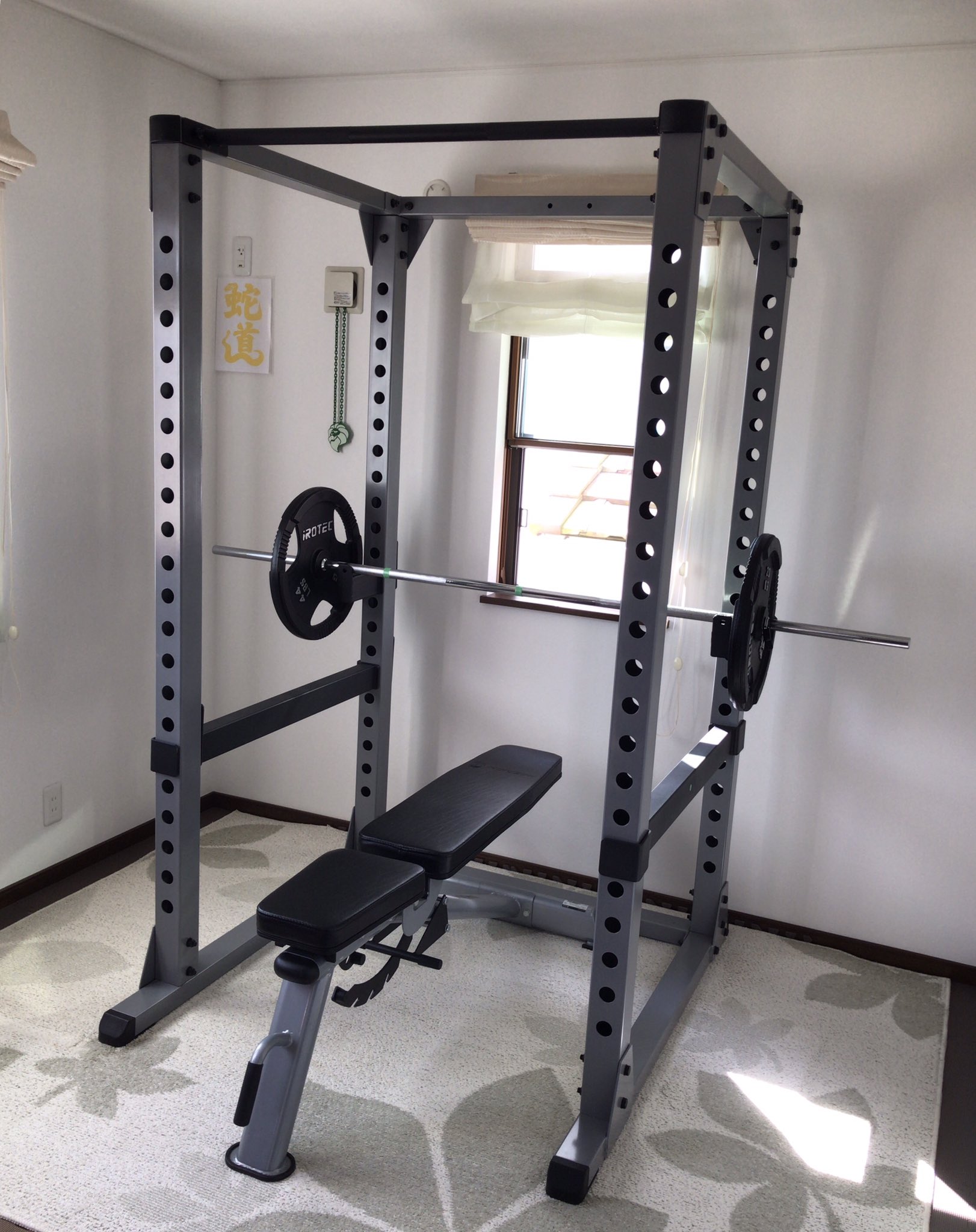 IROTEC（アイロテック）パワーラックHPM ラットプルオプション 自作