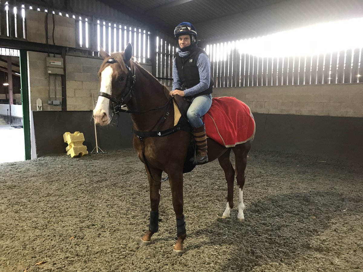 Breaking now in full swing . This colt is finding it all very easy