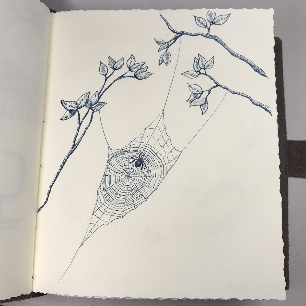 thunderdanbrown's tweet photo. Inktober Day 26 Stretch
#inktober #Inktober2018 #spider https://t.co/BOKGT4AUWV