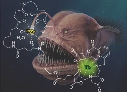 angew_chem's tweet photo. #Cherenkov radiation-mediated in situ excitation of discrete luminescent #LanthanideComplexes (Boros) @SBUResearch @StonyBrookChem https://t.co/vCpcEELtjM https://t.co/qziMaQRBIL