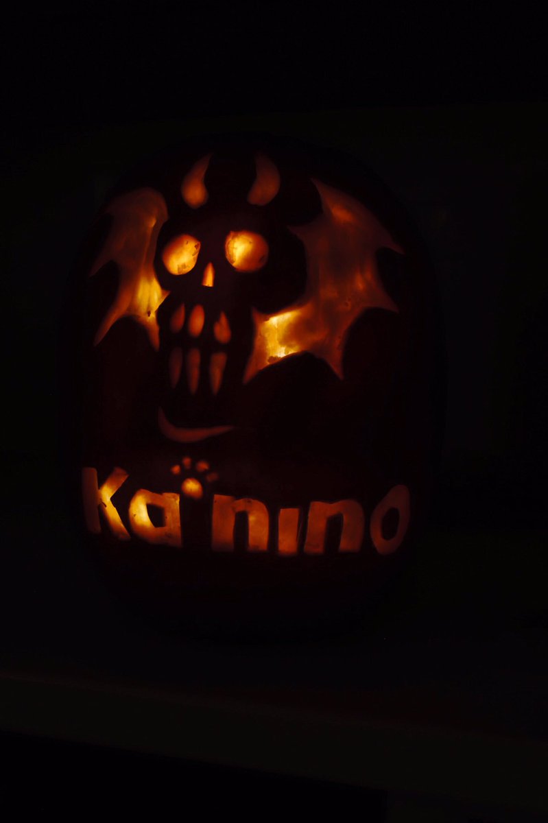 kaninodog's tweet photo. #wethefreshpumpkin https://t.co/d00uuMEOIz