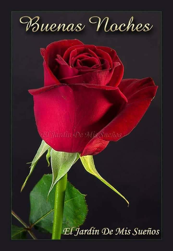 lujico63's tweet photo. @noticieroporno https://t.co/8hUwBGP3Ml