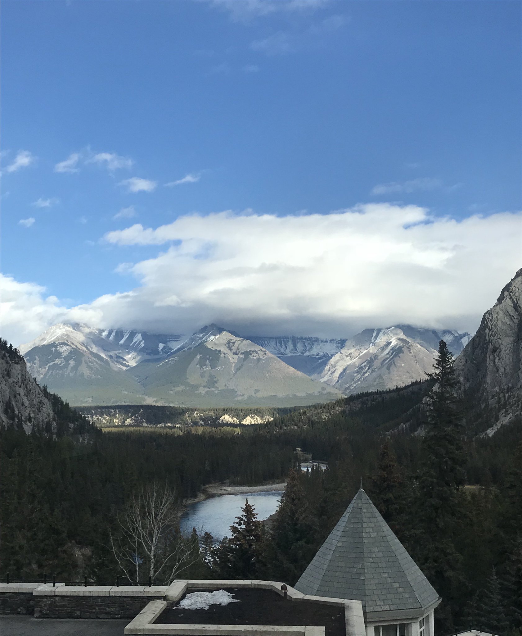 Hayley McKay on Twitter "View from today's Summit4CI Preclinical Experimental Design