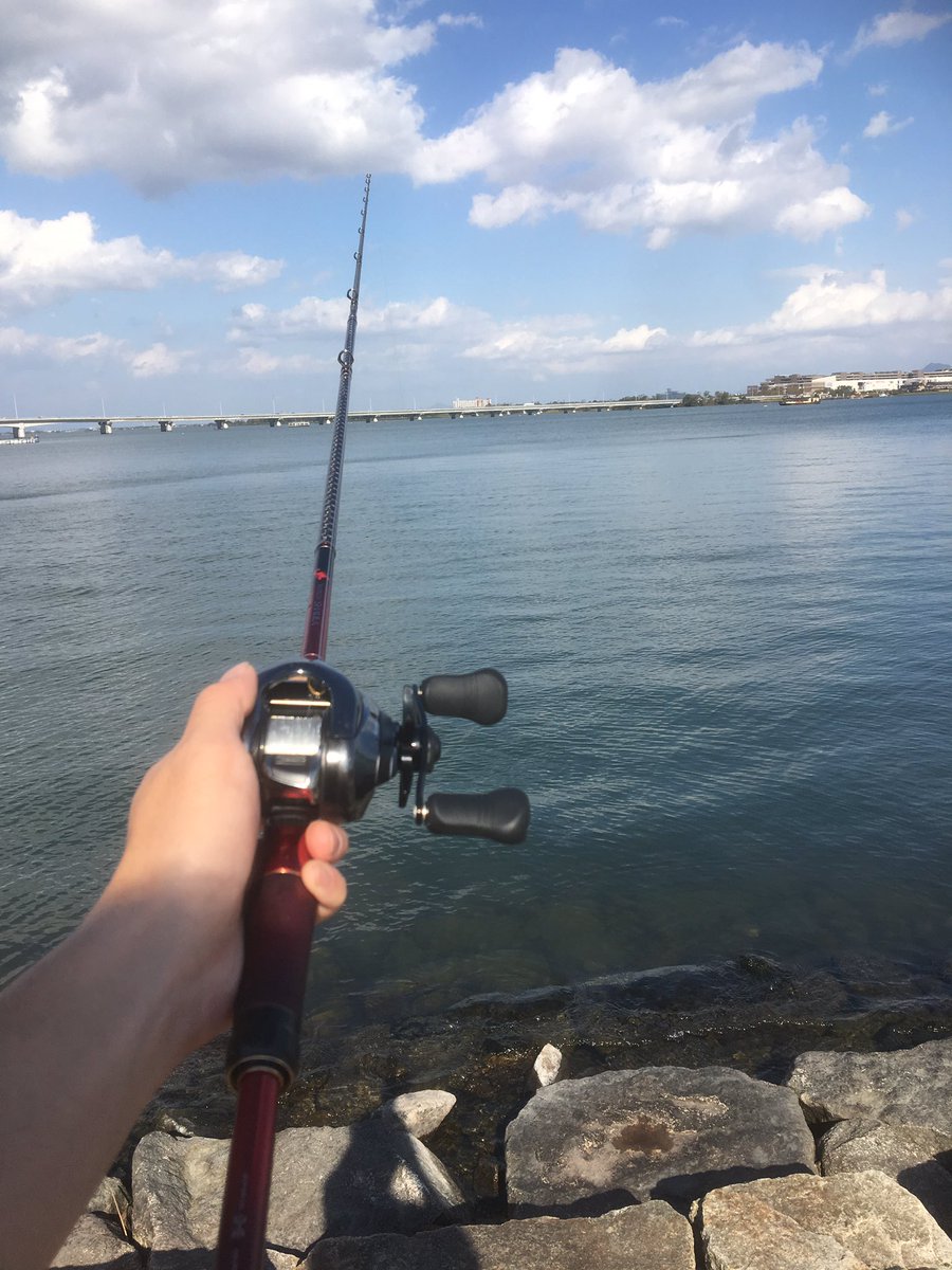 モス ヘビキャロ大明神 Auf Twitter 本日のヘビキャロの成果です N なんとかボウズ逃れた N