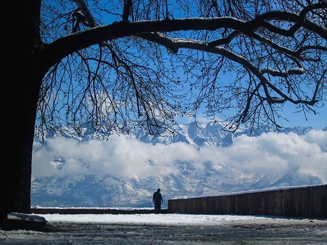 captivatingkmr's tweet photo. In her magnificence , I lost myself.
Photo and text by @waleedshabir13
#Indiapictures #captivatingkashmir #capturedillusions #beingkashmiri #kashmirlovers #kashmir #BBCTravel
#desi_diaries #nustaharamkhor #lonelyplanetindia #tripotocommunity #dslroff… https://t.co/PyZRw3ZmuU https://t.co/uTaU6x6fPp