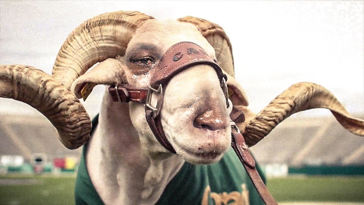 CDub13's tweet photo. It still sucks to be a CSU Ram! #GoWyo https://t.co/RWlEsT6JcO