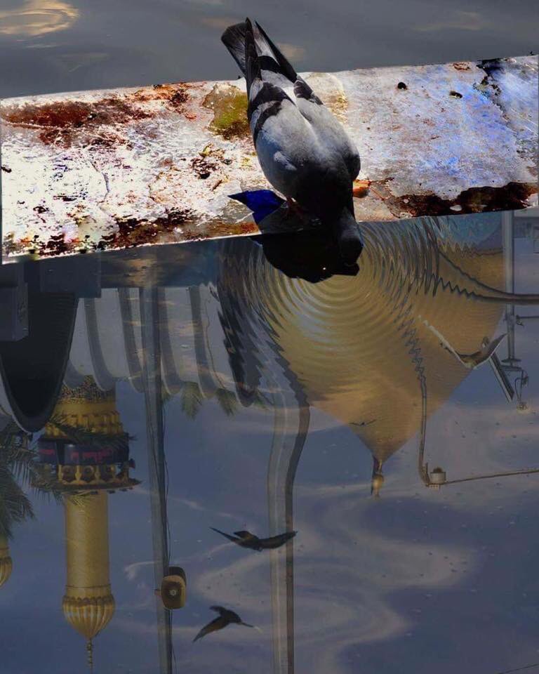 إن كنت من بين الحجيج بمكة
هبني أقبلُ منك الرأس مُحتزِما
أم كنت في وسط المشاة لكربلا
فامسح بها وجهي لأقبلَ القدَما