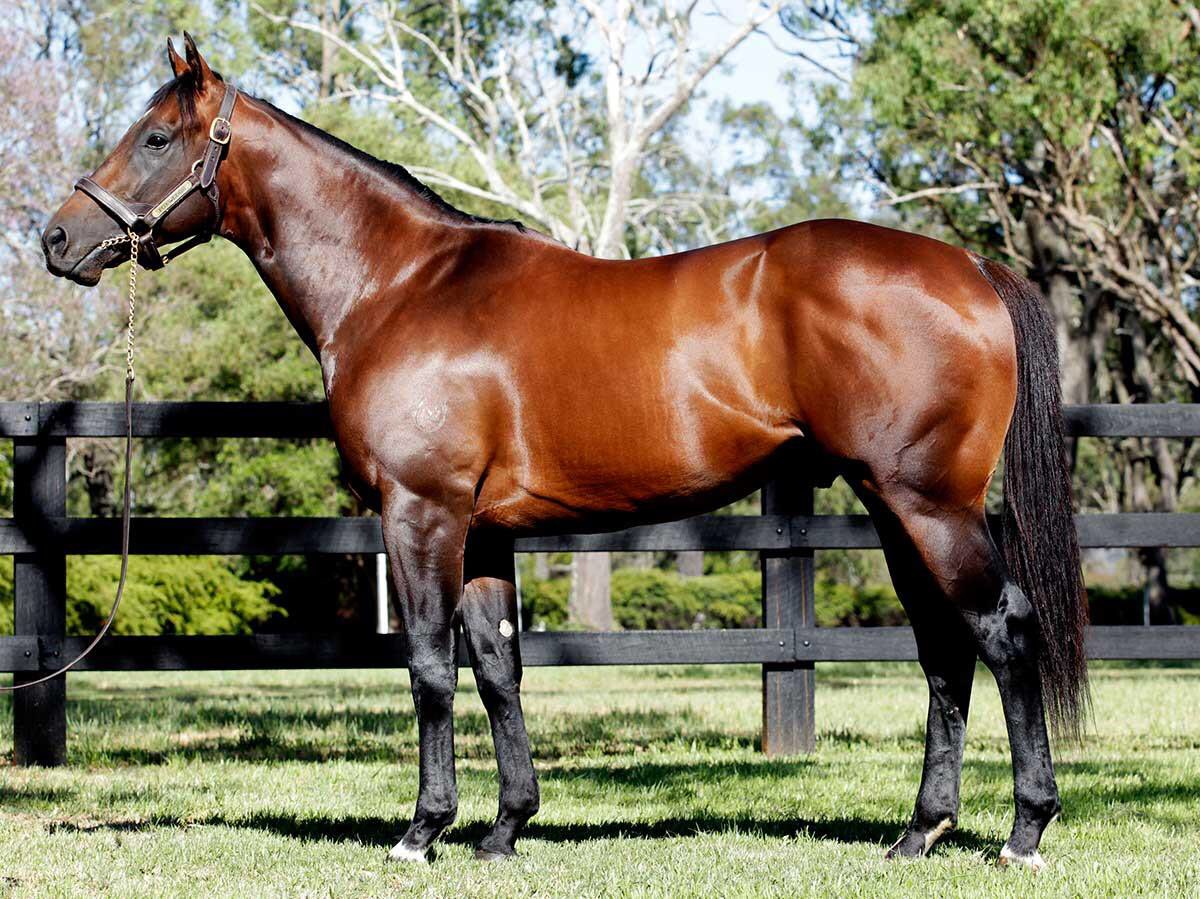 NewgateFarm's tweet photo. Foxwedgeβs filly Xaarfoxplay π¦ gets the job done in style πͺ @kemblaraces for @PfiefferRacing and @teeganh1 congratulations to all connectionsβοΈ#ItsPossible #FoxOnFire π₯π₯ https://t.co/55dxymxkEc