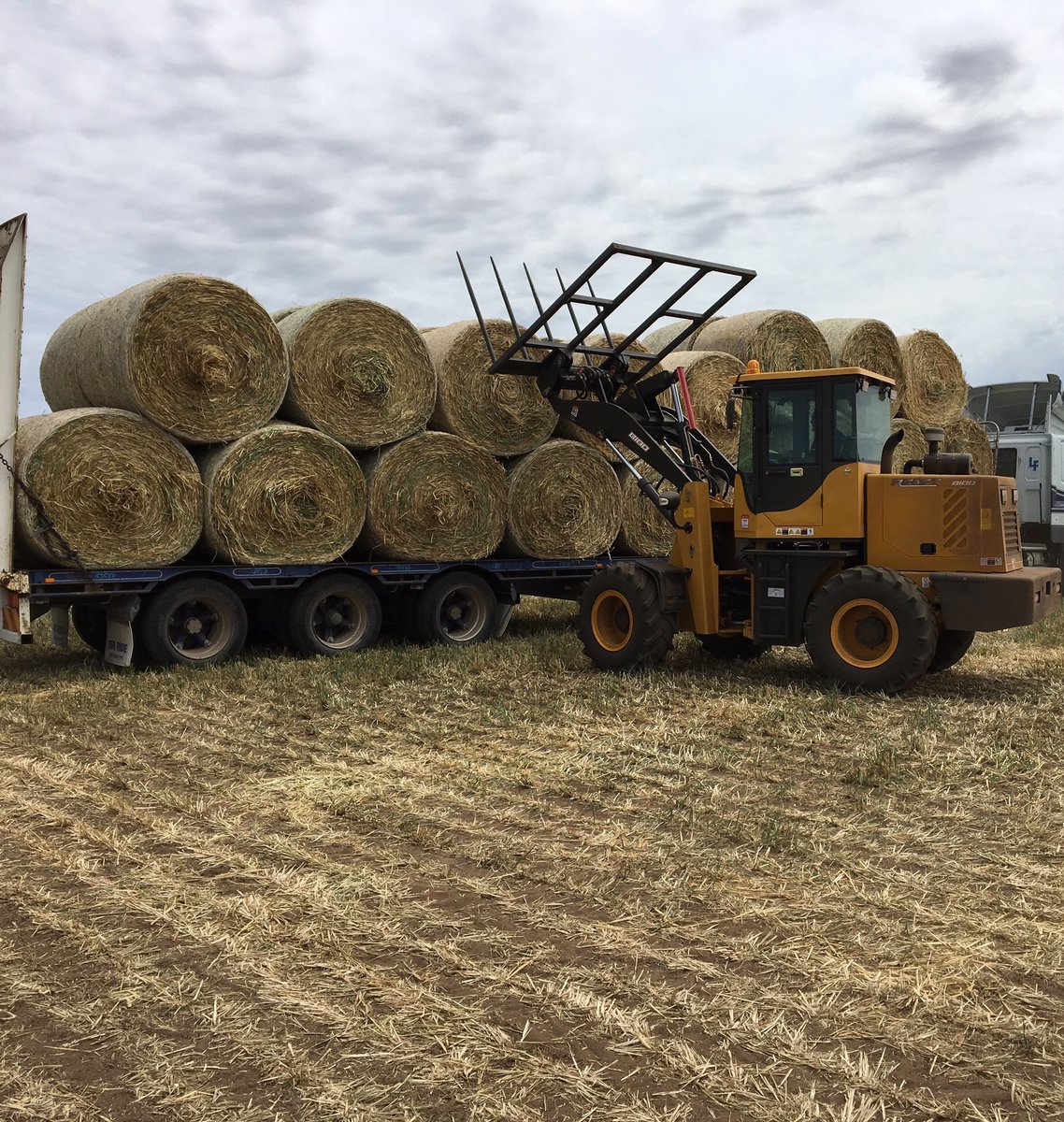 IndustrialTough's tweet photo. No jobs to big or small for our B180 loaded these wheaten rolls in under 40 minutes. #REACTPOWER. https://t.co/LPdzOdWYZp