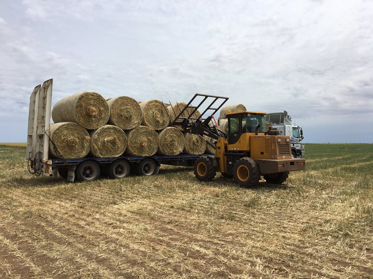 IndustrialTough's tweet photo. No jobs to big or small for our B180 loaded these wheaten rolls in under 40 minutes. #REACTPOWER. https://t.co/LPdzOdWYZp