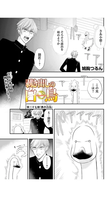 後にも先にも、こんなアオリを書くことは二度とないだろうなと毎回思う

#剥き出しのアオリ 