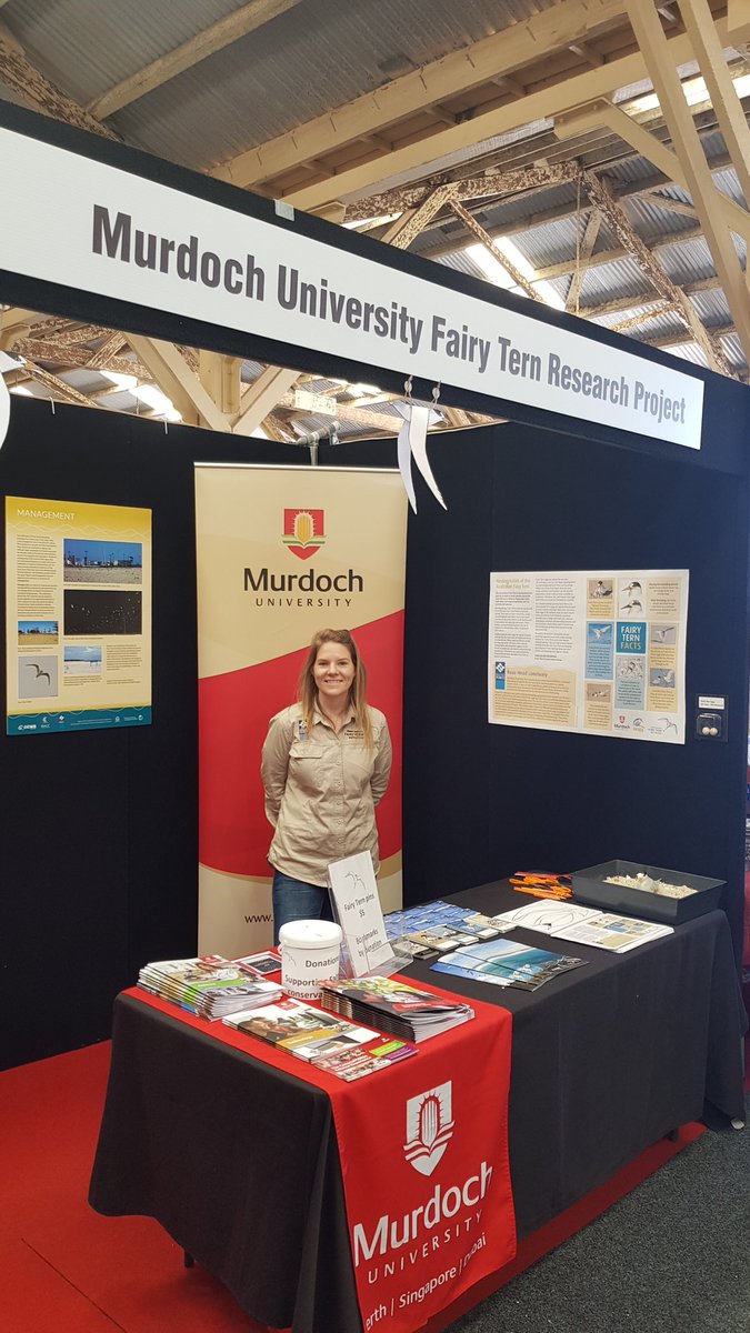 nessmcguiness's tweet photo. What a beautiful day to be out! #FairyTern conservation network is here at #MaritimeDay in #Fremantle. Well worth the walk around. Find us to chat about all things #birdlife 🐦
@cn_greenwell @ConservationWA @MurdochUni @VetLifeScience https://t.co/w4UAd1LBuY