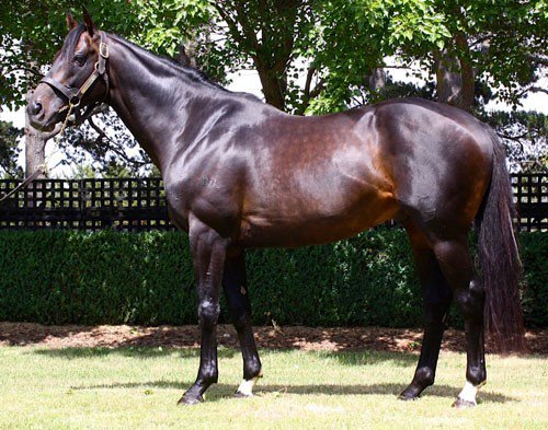 . <a href="/SunStudHQ/">SUN STUD</a>'s Melbourne Cup winner Fiorente (Monsun) sires his first stakes winner, with the Robbie Laing-trained Stars Of Carrum charging late in the Moonee Valley Vase (Gr 2, 2040m) to defeat Savoie (Ilovethiscity) and Aramaya (Poet's Voice).
