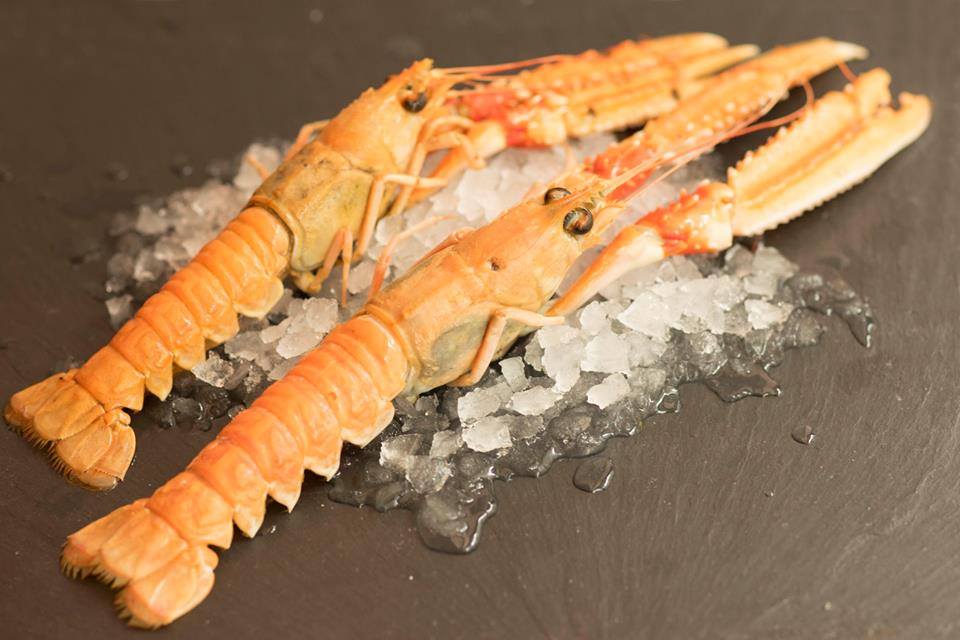 ¿Sabías que el "Cigala" es conocida en Galicia con el nombre de Langostino? Un #marisco ideal en este otoño, ideal para compartir y disfrutar en La Sirena Verde ...,
#CocinaMediterranea #CocinaGallega #Desde1969www.lasirenaverde.com