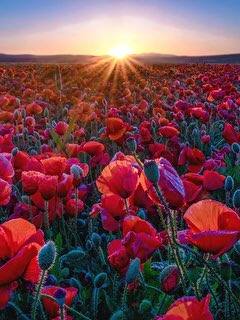 <a href="/rosanesba/">🌺Rosane🌺</a> <a href="/DinizzRaquel/">Rachel</a> <a href="/Bruno_Hamada/">Bruno Hamada</a> <a href="/Camac_Rejas/">Gaby</a> <a href="/ptgelci/">gelci carlos Abreu</a> <a href="/Cris_Abdalla/">Cristiane C. Abdalla</a> <a href="/Ritaferreira34/">Rita ferreira</a> <a href="/natinho_11/">Renato Gomes</a> <a href="/OliveiraMarilsa/">Marilsa Oliveira</a> @Derleypessanha <a href="/Celia5b07cf67/">🌷️CÉLIA RODRIGUES️🌷</a> <a href="/thneves10/">Thiago Neves</a> <a href="/GiorgiandeA/">GiorgiandeArrascaeta</a> <a href="/werbertvaz/">Werbert Almeida</a> <a href="/raypastor/">Raimoroneves Freitas</a> @AneBaizaparty <a href="/abril_hamdam/">ʕ•ᴥ•ʔ Abril Schievenini H.</a> <a href="/1080AM/">Novo tempo Belém</a> @JucileyRiibeiro <a href="/shecelli/">SheCelli#TimBetaLab</a> <a href="/juniorbrasil/">Junior Brasil</a> <a href="/MyPmb/">Promote My Business</a> <a href="/VidaPorVidas/">Vida Por Vidas</a> <a href="/veramelosilva/">Vera Lucia</a> @edna22n2 <a href="/eduardoteix/">Eduardo Teixeira</a> <a href="/geracao148/">Geração 148</a> @Jreis10032 <a href="/Jessikaevans/">Jessica</a> <a href="/leia_silva16/">Léia Silva❤</a> <a href="/lala_carravieri/">Lala 2️⃣2️⃣🇧🇷🇧🇷🇧🇷🇧🇷🇧🇷🇧🇷</a> <a href="/mimizinhaahh/">m.</a> <a href="/RUTHYSALLES/">Ruthy Salles</a> <a href="/DrJamesRupertL3/">Dr James Rupert Lee</a> <a href="/IsabeleGabriell/">Isabele Gabriella</a> <a href="/PrLuizCarlos/">Pastor Luiz Lopes</a> <a href="/CCorralesRuiz/">CARLOS CORRALES RUIZ</a> <a href="/HinodeOficial/">Hinode Group</a> <a href="/FMarlidio/">FMarlidio!!</a> <a href="/nanda_braga/">Fernanda Braga</a> <a href="/felipeduardoh/">ⒻⓔⓁⒾⓅⓔ Ⓔⓓⓤⓐⓡⓓⓞ</a> <a href="/allanadf/">Allana Ferreira</a> <a href="/all5120/">ALLAN DARLEY</a> <a href="/Jessy_Mourao/">ღஐ Jessy ஐღ</a> <a href="/Tania_Fanti/">Tania Fanti</a> <a href="/leonardogoncal7/">lg #VidasPretasImportam</a> <a href="/pribaracho/">Priscila Baracho</a> <a href="/pastorivay/">Ivay Pereira Araújo</a> <a href="/Dedevital/">Dedé</a> Gracias, buen día 💋💋💋🌹