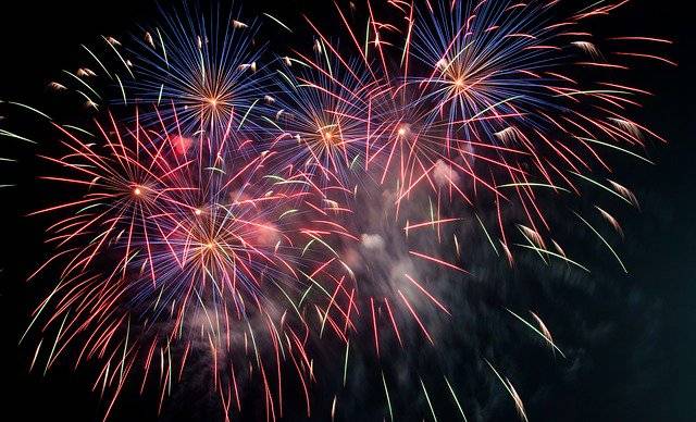 BritishVets's tweet photo. With less than 10 days to go till #BonfireNight, read our top tips to prepare your pets to prevent possible distress from loud #fireworks  https://t.co/jR04bNu5KQ https://t.co/xC5b4RlDxw