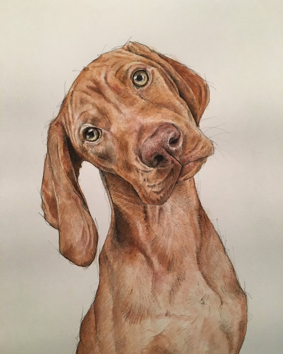 KateElgood's tweet photo. Pet Portraits for Christmas Presents https://t.co/WNNnzBxpE6