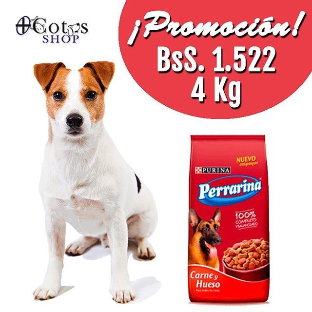 ¡Recuerda nuestra promoción!
.
Visita nuestras tiendas y aprovecha la oferta en #PerrarinaPlus de 4 Kg.
.
Válido hasta el domingo 28-10
.
#MascotasFelices #Mascotas #Alimento #Medicamentos #Accesorios #PeluqueriaCanina #NautilusJardinGourmet #SambilValen… ift.tt/2OPJh4R