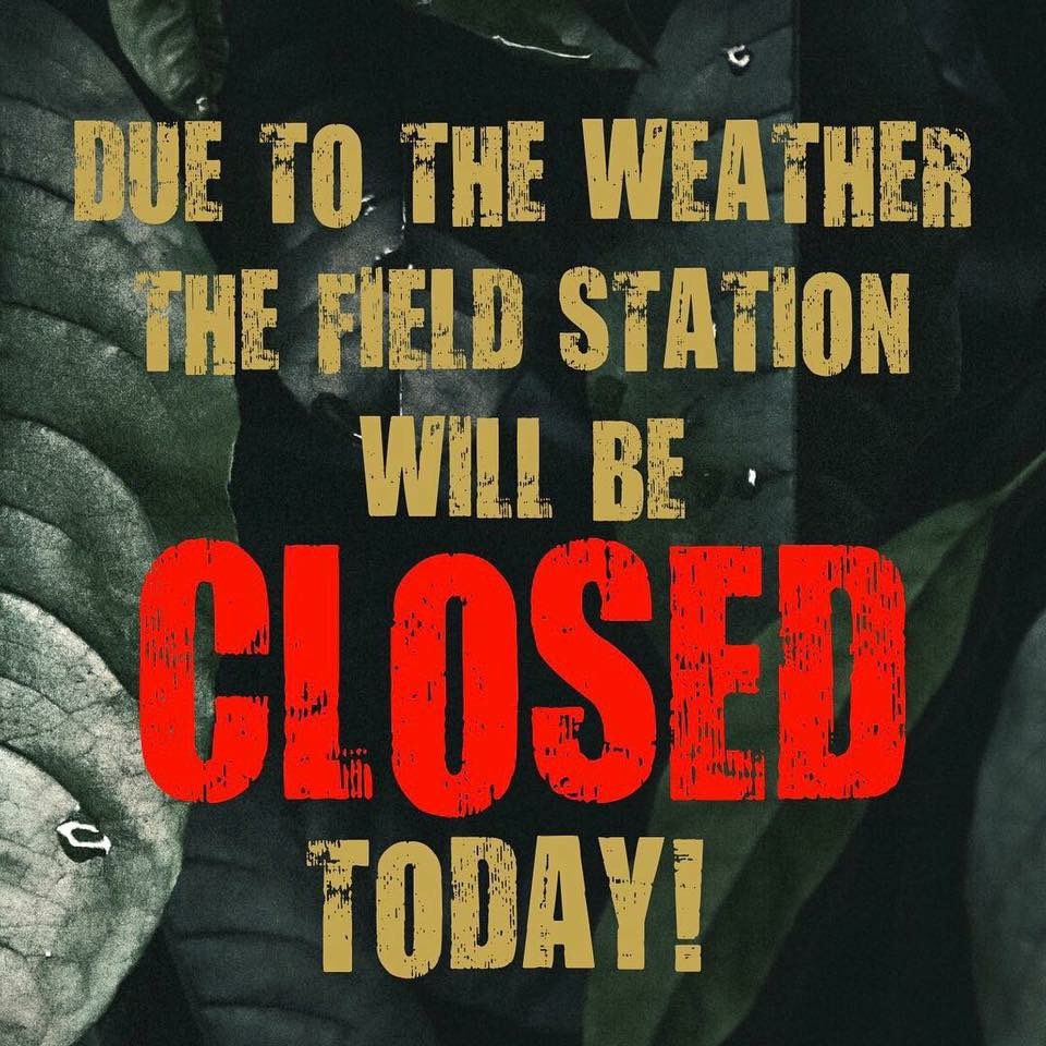 Jerseysaurus's tweet photo. Due to the weather and high winds, for the safety of our guests and staff, the Field Station will NOT be open today. We will reopen tomorrow, Sunday, October 28 from 10-5pm. #jerseysaurus #getoutyourgaloshes https://t.co/wMH4nk00q5