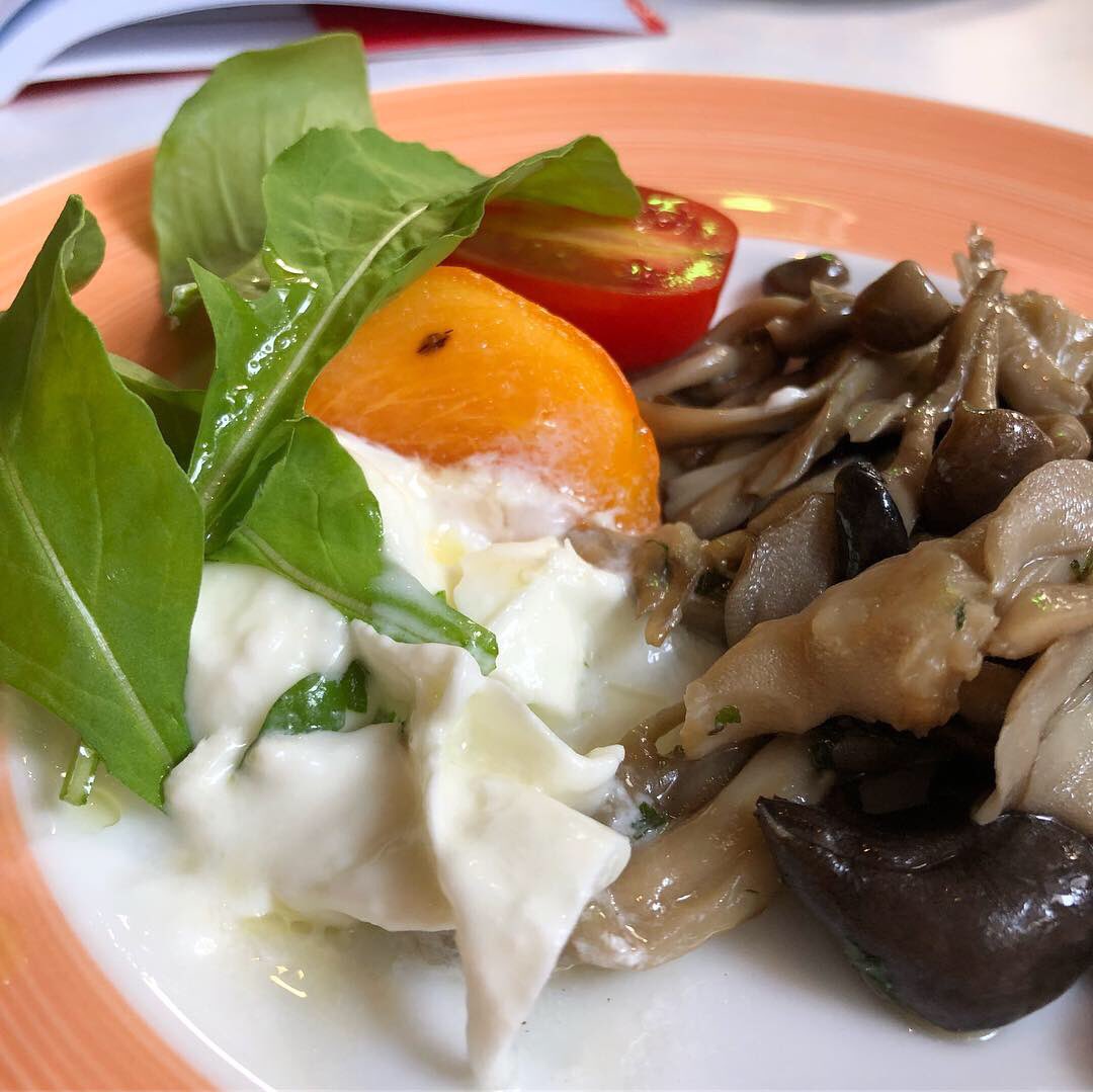 An appetizer—truly appetizing. 

#funghitrifolati #sauteedmushrooms #maitakemushrooms #shimejimushroom #mozzarelladibufala #avvcchella #tuscanfood #trattoria #regionalitalian #foodhunter #foodblog #theworlddigested 
#アヴケッラ #フンギ #トリフォラーティ #トスカーナ料理 #郷土料理