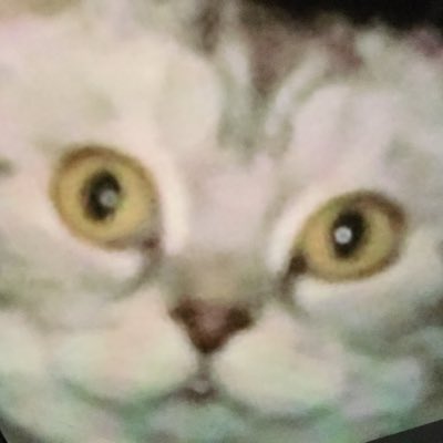 EngagedRex's tweet image. #NewProfilePic