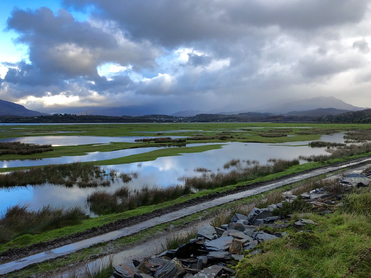 Taken today from the wales coastal path in Talsarnau looking over the estuary towards Portmeirion - Gwynedd Wales