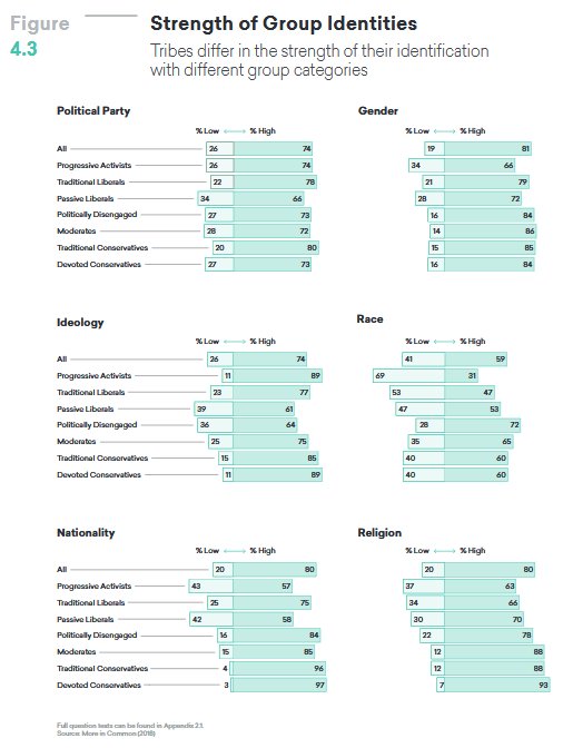  Elle montre aussi qu’un sens de l’appartenance fort à des identités croisées (idéologie, religion, race, genre…) et un débat public centré autour d’enjeux identitaires (égalité raciale, droits des minorités, liberté religieuse,  #MeeToo) conduit à une montée du 'tribalisme'.