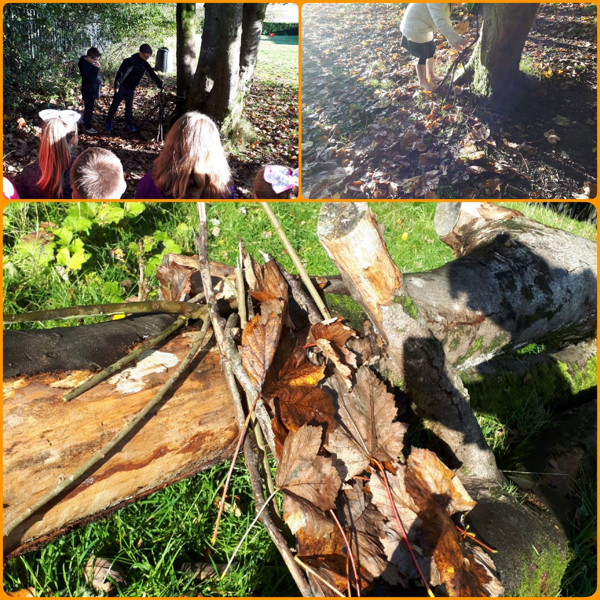 mrsannrogers's tweet photo. Fantastic morning yesterday building shelters in our 'Forbidden Forest' with @RosneathPrimary Lots of creativity, teamwork and enjoyment had by all! #lovemyjob #ValueEducationValueTeachers #PayAttention https://t.co/ltzaEGV9PC