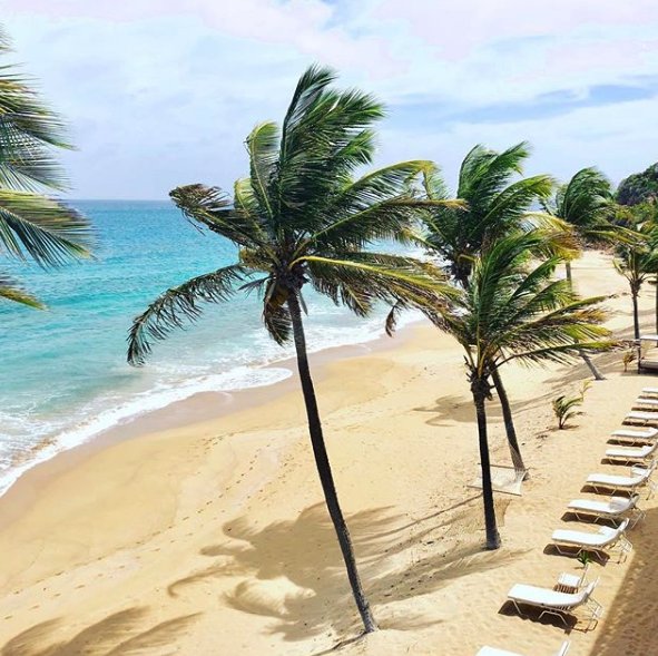 EDHotels's tweet photo. #EssentialDetail Hotel's #Autumn Update and News 2 part #blog
https://t.co/p72Z9d9QCS #caribbeanhotels #luxuryhotels https://t.co/RKAg284LeM