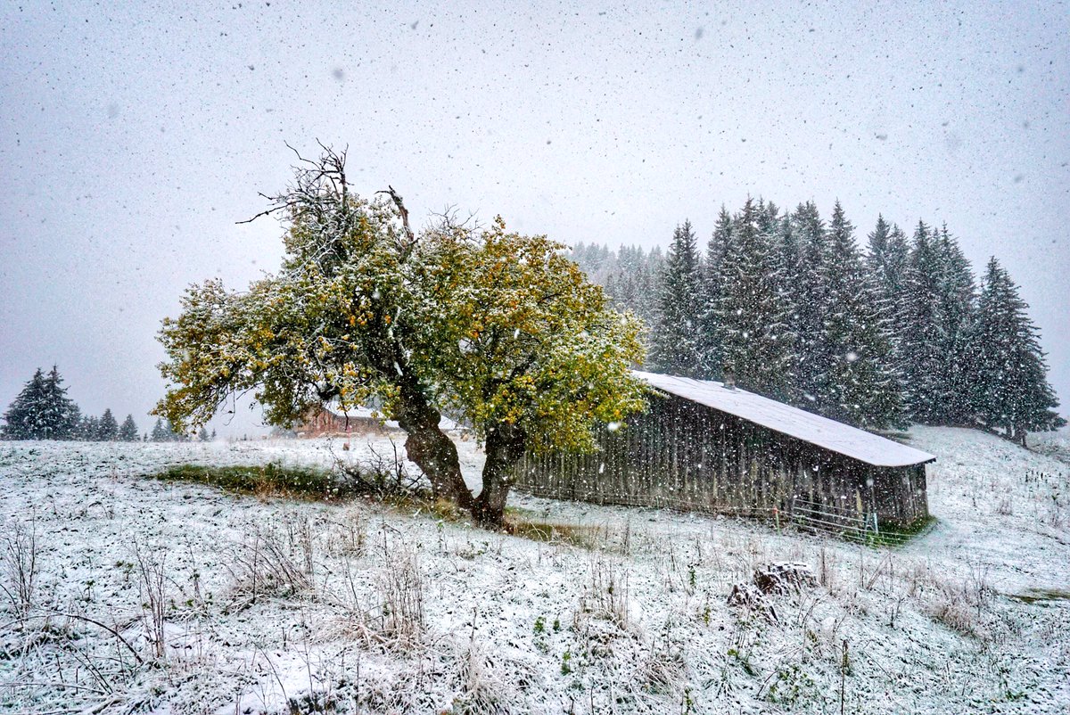 lesgetsnews's tweet image. ❄️☃️ #MadeinLesGets ❄️