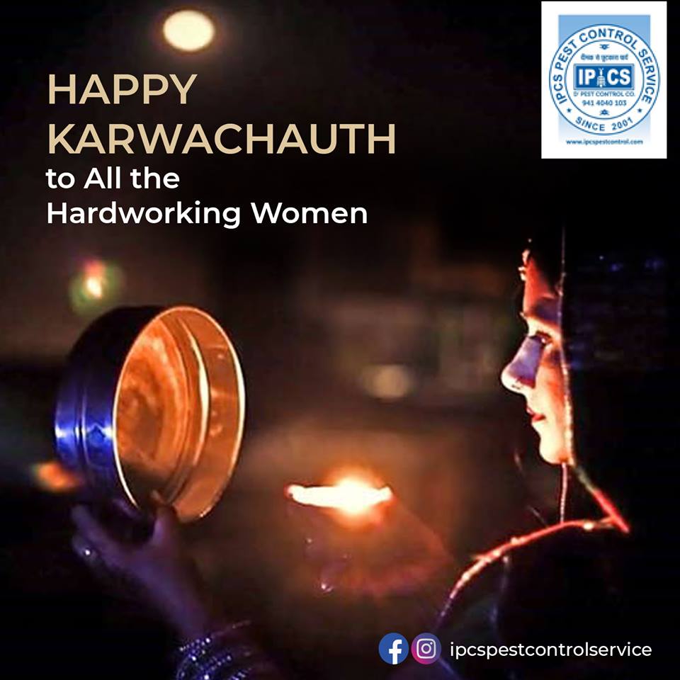 IPCSPest's tweet image. Happy Karwachauth to All #HardworkingWomen

#ipcspestcontrol #jaipur #karwachoth